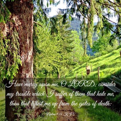 Picture 03 - Psalms 9:13 KJV - Have mercy upon me, O LORD; consider my trouble - Bible Verse Picture
