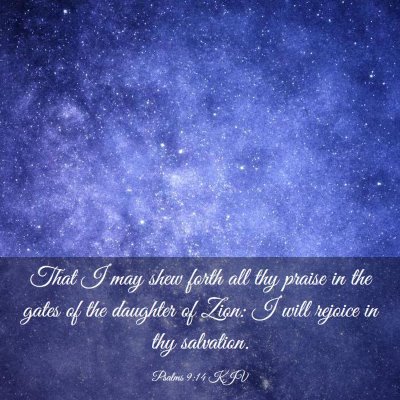 Picture 03 - Psalms 9:14 KJV - That I may shew forth all thy praise in the gates - Bible Verse Picture