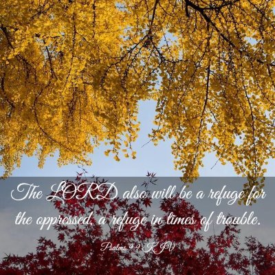 Picture 03 - Psalms 9:9 KJV - The LORD also will be a refuge for the oppressed, - Bible Verse Picture