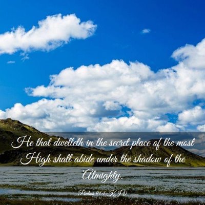 Picture 03 - Psalms 91:1 KJV - He that dwelleth in the secret place of the most - Bible Verse Picture