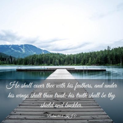 Picture 03 - Psalms 91:4 KJV - He shall cover thee with his feathers, and under - Bible Verse Picture