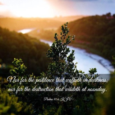 Picture 03 - Psalms 91:6 KJV - Nor for the pestilence that walketh in darkness; - Bible Verse Picture