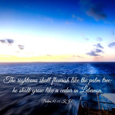 Picture 03 - Psalms 92:12 KJV - The righteous shall flourish like the palm tree: - Bible Verse Picture