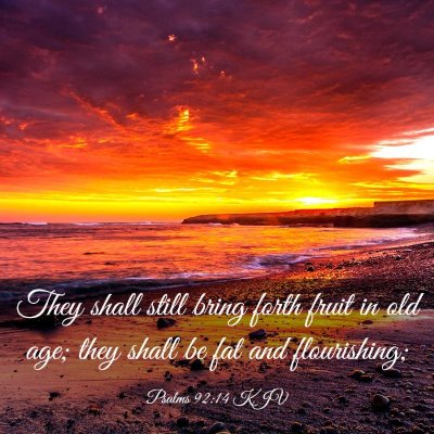 Picture 03 - Psalms 92:14 KJV - They shall still bring forth fruit in old age; - Bible Verse Picture