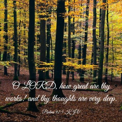 Picture 03 - Psalms 92:5 KJV - O LORD, how great are thy works! and thy thoughts - Bible Verse Picture