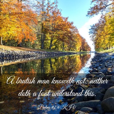 Picture 03 - Psalms 92:6 KJV - A brutish man knoweth not; neither doth a fool - Bible Verse Picture