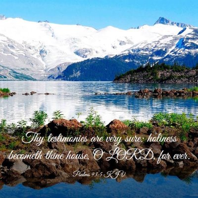 Picture 03 - Psalms 93:5 KJV - Thy testimonies are very sure: holiness becometh - Bible Verse Picture