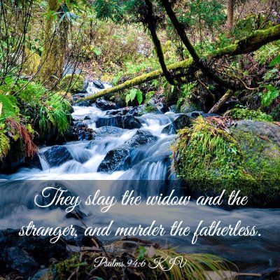 Picture 03 - Psalms 94:6 KJV - They slay the widow and the stranger, and murder - Bible Verse Picture