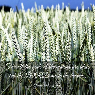 Picture 03 - Psalms 96:5 KJV - For all the gods of the nations are idols: but - Bible Verse Picture