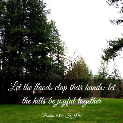 Picture 03 - Psalms 98:8 KJV - Let the floods clap their hands: let the hills be - Bible Verse Picture