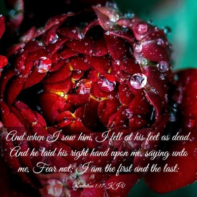 Picture 03 - Revelation 1:17 KJV - And when I saw him, I fell at his feet as dead. - Bible Verse Picture