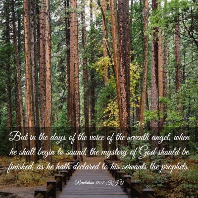 Picture 03 - Revelation 10:7 KJV - But in the days of the voice of the seventh - Bible Verse Picture