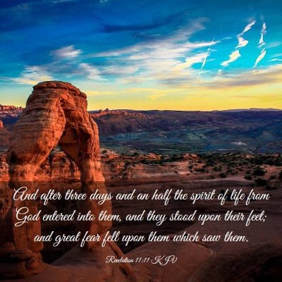 Picture 03 - Revelation 11:11 KJV - And after three days and an half the spirit of - Bible Verse Picture