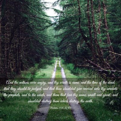 Picture 03 - Revelation 11:18 KJV - And the nations were angry, and thy wrath is - Bible Verse Picture