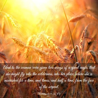 Picture 03 - Revelation 12:14 KJV - And to the woman were given two wings of a great - Bible Verse Picture
