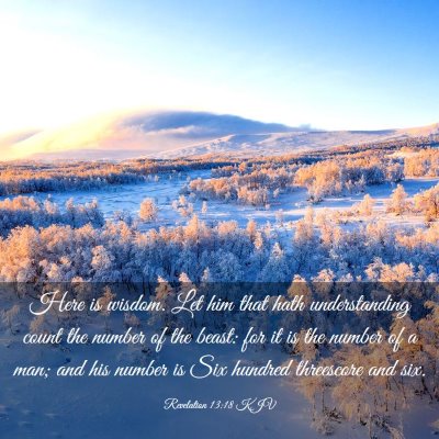 Picture 03 - Revelation 13:18 KJV - Here is wisdom. Let him that hath understanding - Bible Verse Picture