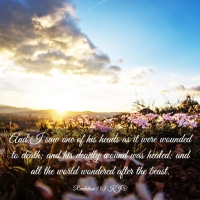 Picture 03 - Revelation 13:3 KJV - And I saw one of his heads as it were wounded to - Bible Verse Picture