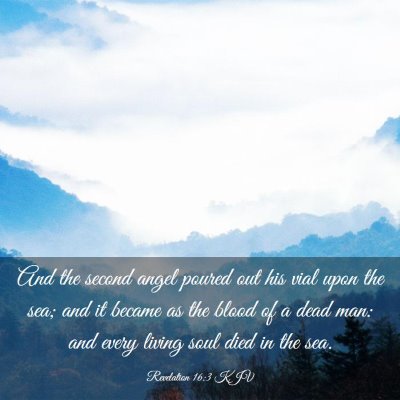 Picture 03 - Revelation 16:3 KJV - And the second angel poured out his vial upon the - Bible Verse Picture