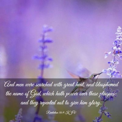 Picture 03 - Revelation 16:9 KJV - And men were scorched with great heat, and - Bible Verse Picture