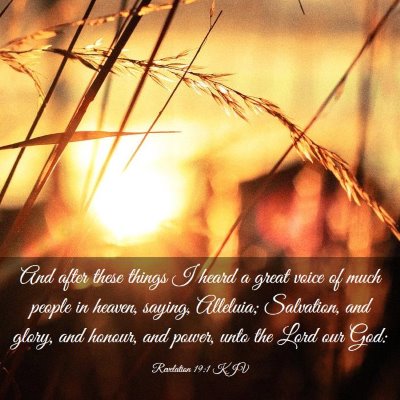 Picture 03 - Revelation 19:1 KJV - And after these things I heard a great voice of - Bible Verse Picture