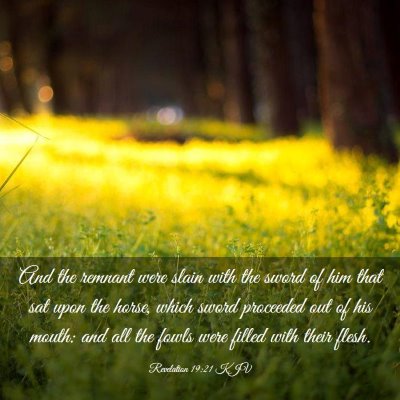 Picture 03 - Revelation 19:21 KJV - And the remnant were slain with the sword of him - Bible Verse Picture