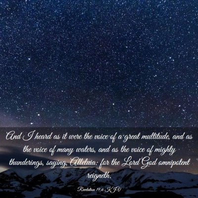 Picture 03 - Revelation 19:6 KJV - And I heard as it were the voice of a great - Bible Verse Picture