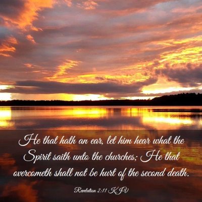 Picture 03 - Revelation 2:11 KJV - He that hath an ear, let him hear what the Spirit - Bible Verse Picture