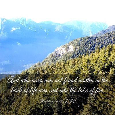 Picture 03 - Revelation 20:15 KJV - And whosoever was not found written in the book - Bible Verse Picture