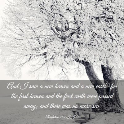 Picture 03 - Revelation 21:1 KJV - And I saw a new heaven and a new earth: for the - Bible Verse Picture