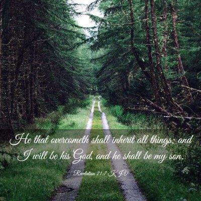 Picture 03 - Revelation 21:7 KJV - He that overcometh shall inherit all things; and - Bible Verse Picture