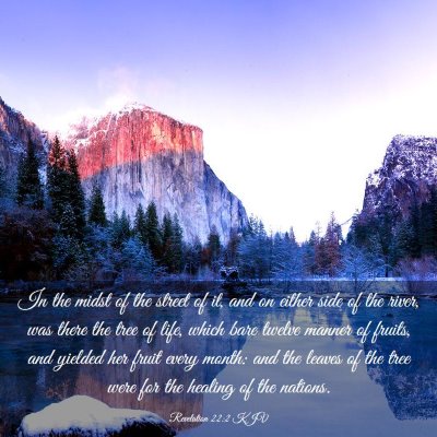 Picture 03 - Revelation 22:2 KJV - In the midst of the street of it, and on either - Bible Verse Picture