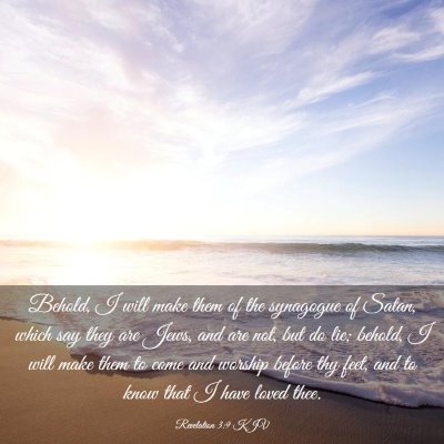 Picture 03 - Revelation 3:9 KJV - Behold, I will make them of the synagogue of - Bible Verse Picture