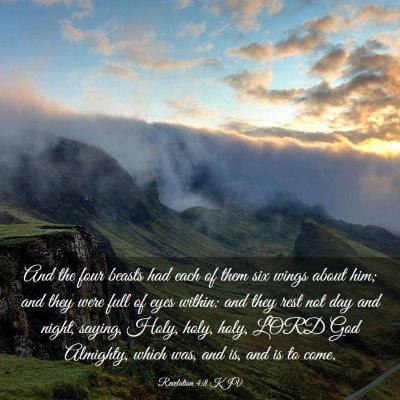 Picture 03 - Revelation 4:8 KJV - And the four beasts had each of them six wings - Bible Verse Picture