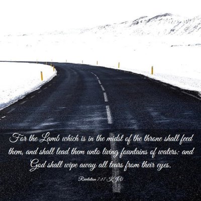 Picture 03 - Revelation 7:17 KJV - For the Lamb which is in the midst of the throne - Bible Verse Picture