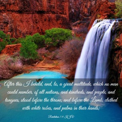 Picture 03 - Revelation 7:9 KJV - After this I beheld, and, lo, a great multitude, - Bible Verse Picture