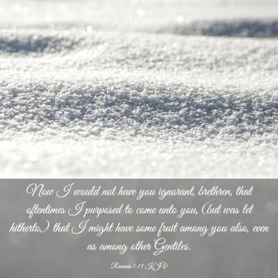 Picture 03 - Romans 1:13 KJV - Now I would not have you ignorant, brethren, that - Bible Verse Picture