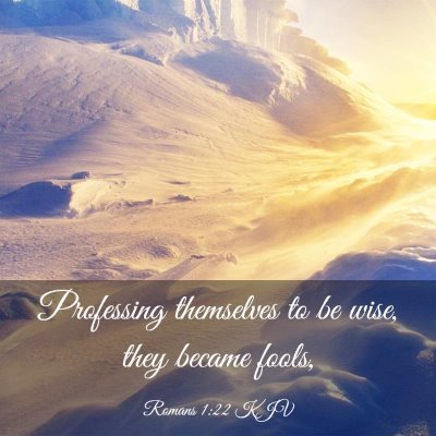 Picture 03 - Romans 1:22 KJV - Professing themselves to be wise, they became - Bible Verse Picture
