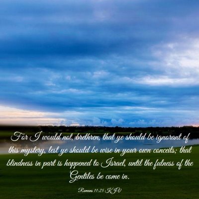 Picture 03 - Romans 11:25 KJV - For I would not, brethren, that ye should be - Bible Verse Picture