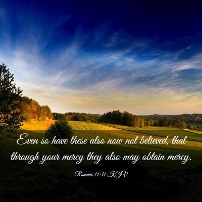 Picture 03 - Romans 11:31 KJV - Even so have these also now not believed, that - Bible Verse Picture