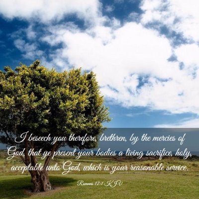 Picture 03 - Romans 12:1 KJV - I beseech you therefore, brethren, by the mercies - Bible Verse Picture