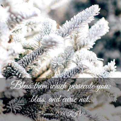Picture 03 - Romans 12:14 KJV - Bless them which persecute you: bless, and curse - Bible Verse Picture