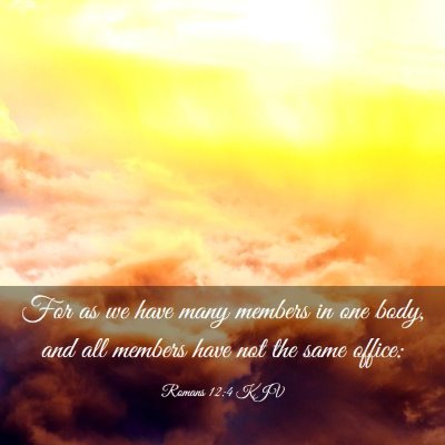 Picture 03 - Romans 12:4 KJV - For as we have many members in one body, and all - Bible Verse Picture