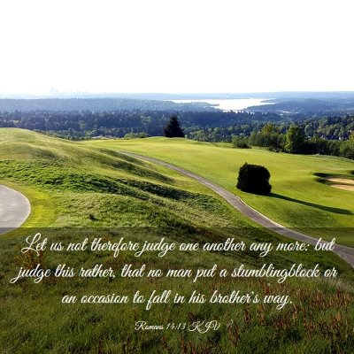 Picture 03 - Romans 14:13 KJV - Let us not therefore judge one another any more: - Bible Verse Picture
