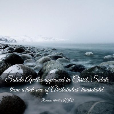 Picture 03 - Romans 16:10 KJV - Salute Apelles approved in Christ. Salute them - Bible Verse Picture
