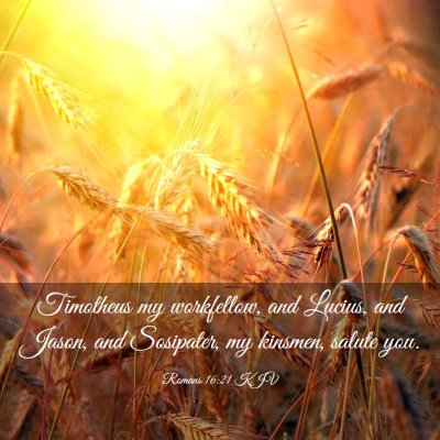 Picture 03 - Romans 16:21 KJV - Timotheus my workfellow, and Lucius, and Jason, - Bible Verse Picture