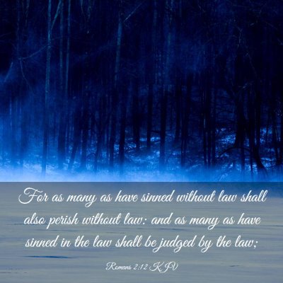 Picture 03 - Romans 2:12 KJV - For as many as have sinned without law shall also - Bible Verse Picture