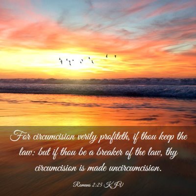 Picture 03 - Romans 2:25 KJV - For circumcision verily profiteth, if thou keep - Bible Verse Picture
