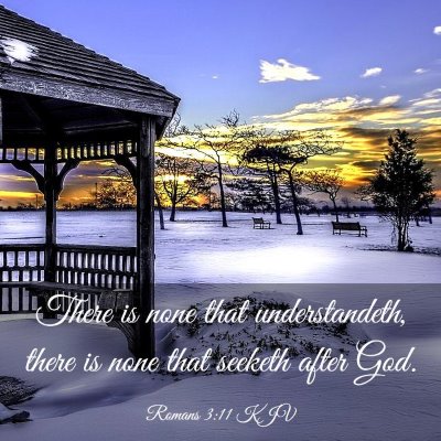 Picture 03 - Romans 3:11 KJV - There is none that understandeth, there is none - Bible Verse Picture
