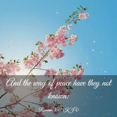 Picture 03 - Romans 3:17 KJV - And the way of peace have they not - Bible Verse Picture