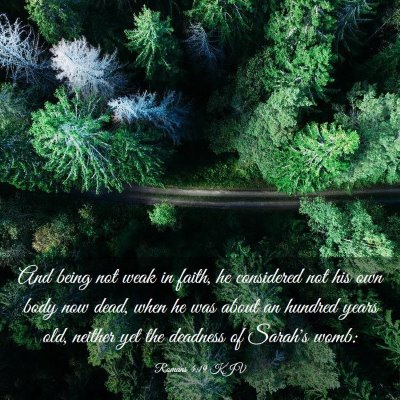 Picture 03 - Romans 4:19 KJV - And being not weak in faith, he considered not - Bible Verse Picture